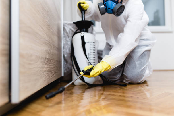 Best Affordable Pest Control Services  in Fairmont City, IL