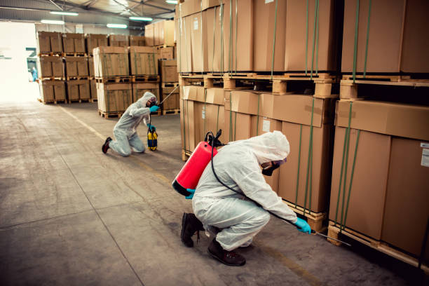 Best Residential Pest Control  in Fairmont City, IL