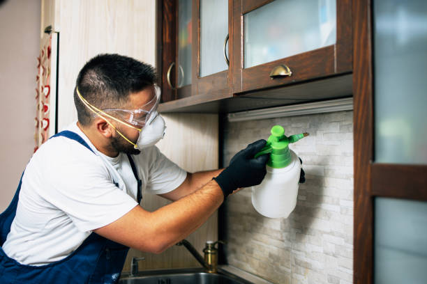 Best Wasp Removal Services  in Fairmont City, IL