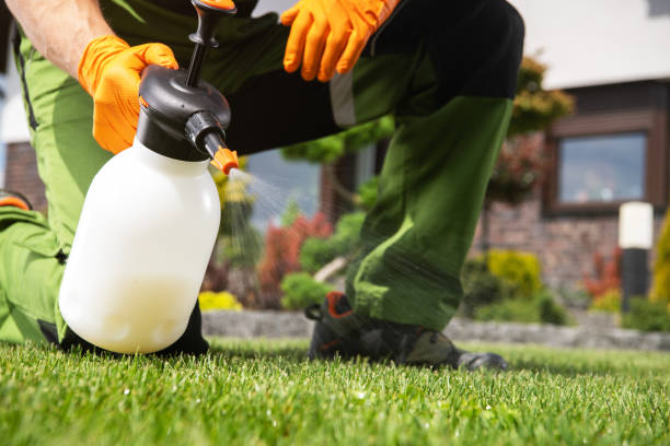 Best Pest Removal Services  in Fairmont City, IL