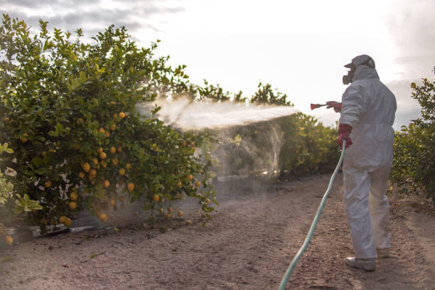 Best Mosquito Control Services  in Fairmont City, IL