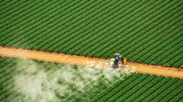 Best Mosquito Control Services  in Fairmont City, IL